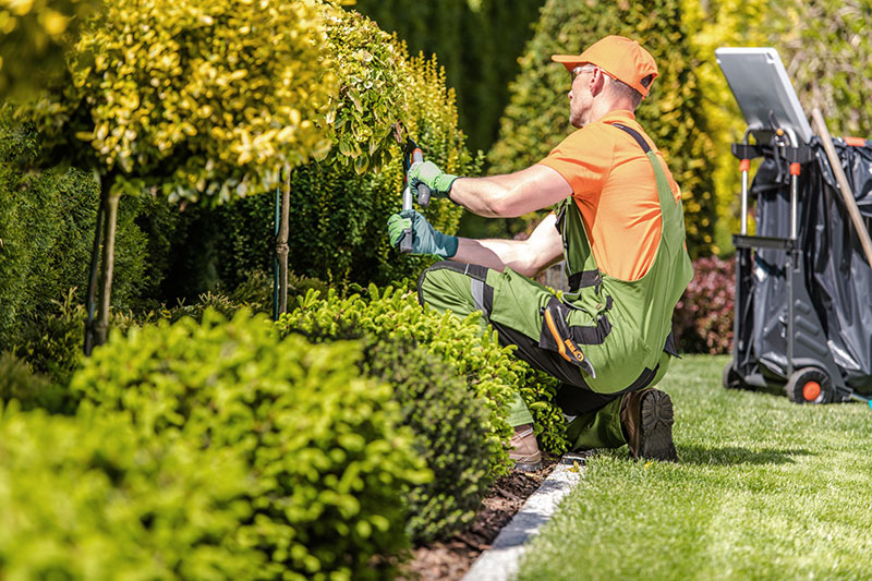 mantenimiento-jardin